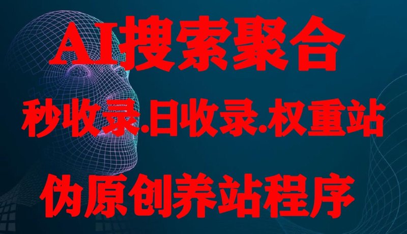 站在风口上的站群程序:一席之地还是泡沫经济?